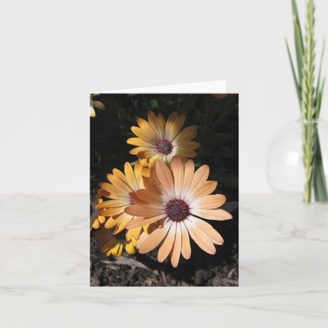 I Bleken Kort (Framsida)