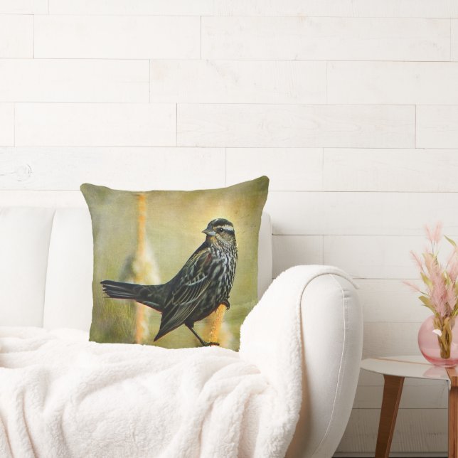 I blickpunktdekorativ kudde (Soffa)