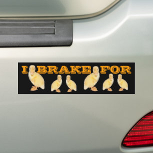 I BRAKE FOR Gult Duckling Photo Personlig Bildekal