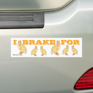 I BRAKE FOR Gult Duckling Photo Personlig Bildekal