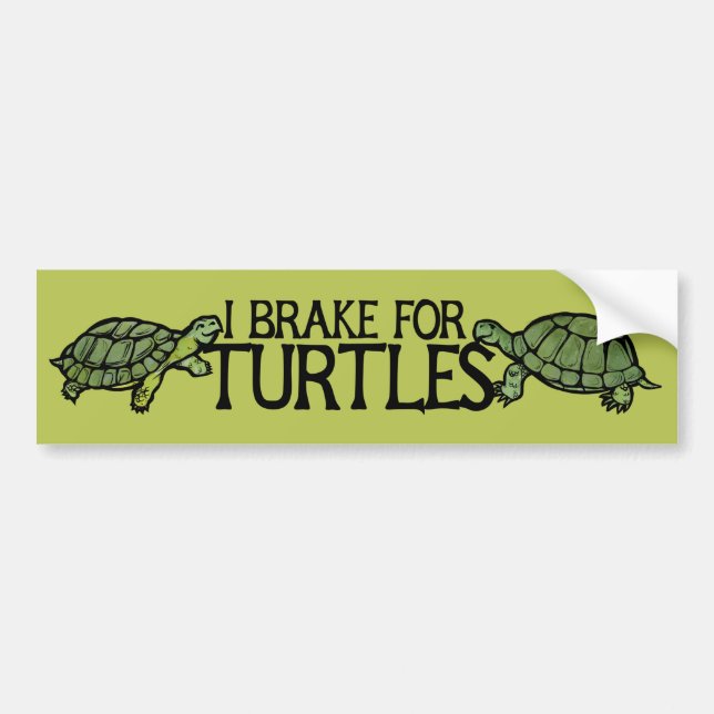 I Brake for Turtles Bildekal (Framsidan)