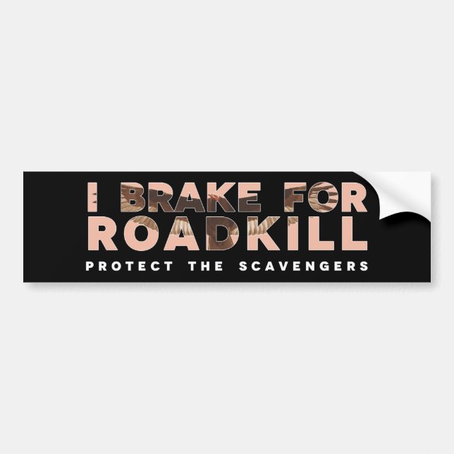 I Broke for Roadkill (bakgrunden till Mörken) Bildekal (Framsidan)