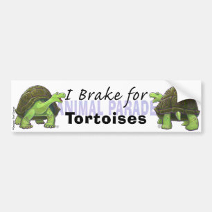 I Broke for Tortoises Bildekal