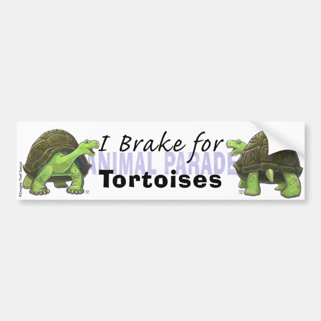 I Broke for Tortoises Bildekal (Framsidan)