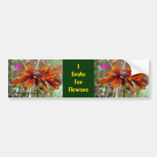 I Broms for Flowers Daisy Bumper Sticker Bildekal