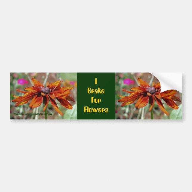 I Broms for Flowers Daisy Bumper Sticker Bildekal (Framsidan)