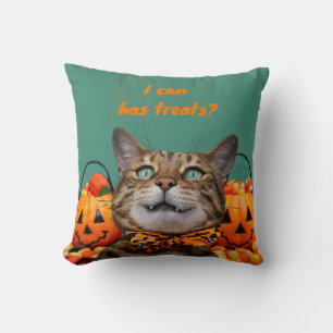 i can has Treats Cat Dekorativ kudde