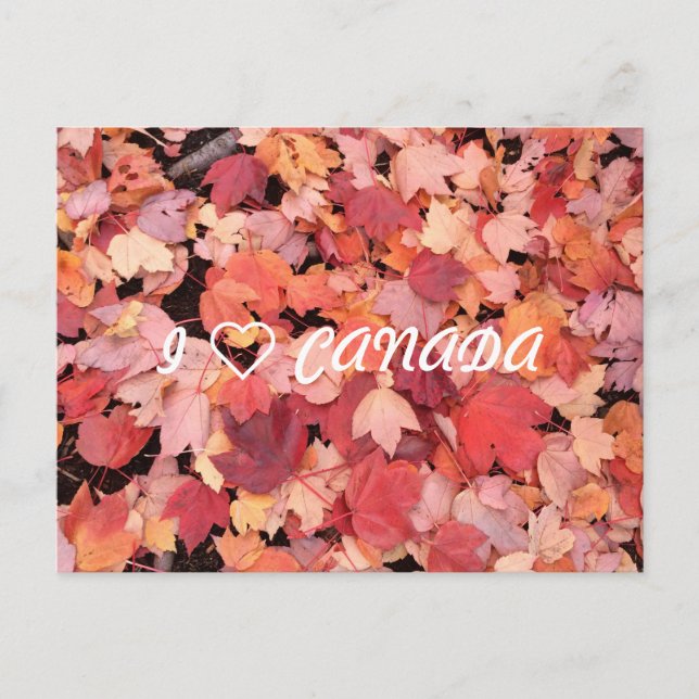 I ❤ CANADA VYKORT (Framsida)