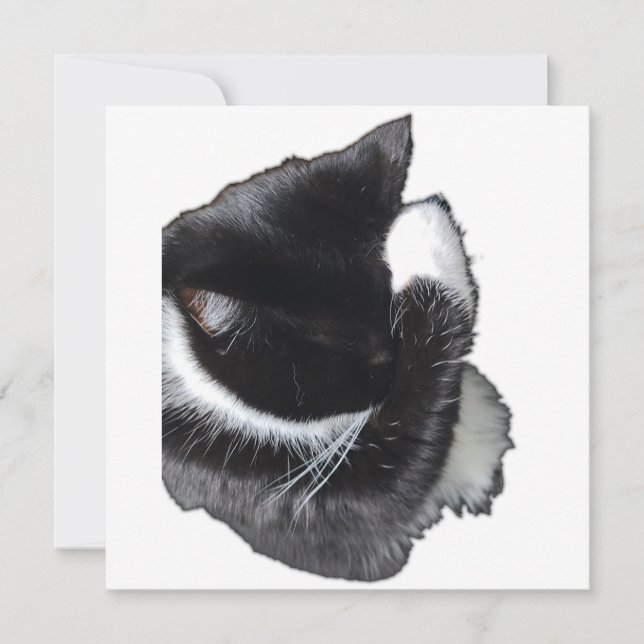 I Can't Even Right Meow (Framsida)