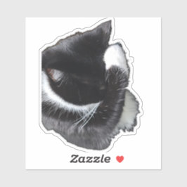 I Can't Even Right Meow Klistermärken