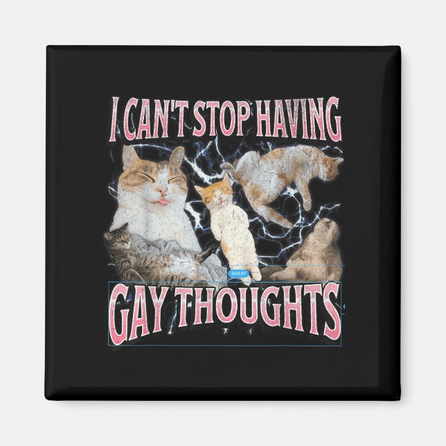 I Can't Stop Having Gay Thoughts Funny Cat Meme Bo Magnet (Framsidan)