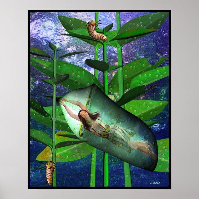 I Ching Meditations, Youthful Folly Poster (Framsidan)