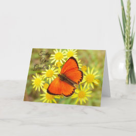 I dag är du Student Butterfly Kort