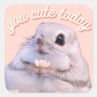 I dag späder du på bläckfiskekorren med Rosa. Fyrkantigt Klistermärke