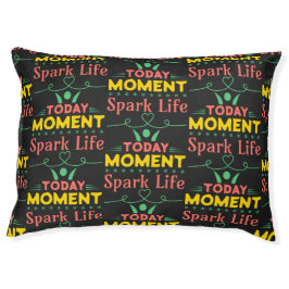 I dag, Spark Life