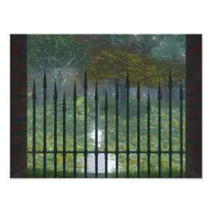 I den gamla skogsfotoutskriften fototryck