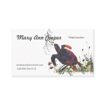 I den moderna exotiska sköldpaddan för