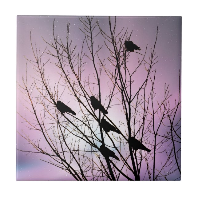 I den purpurfärgade natthimmlen kakelplatta (Framsidan)