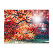 I DET MAGISKA FÄRGEN AV STRECKSATSEN I ÖSTRA HÖGON