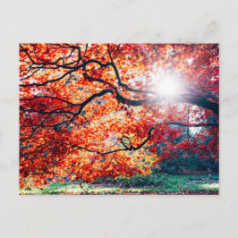 I DET MAGISKA FÄRGEN AV STRECKSATSEN I ÖSTRA HÖGON VYKORT