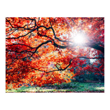 I DET MAGISKA FÄRGEN PÅ ÖSTERN