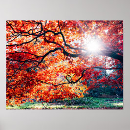 I DET MAGISKA FÄRGEN PÅ ÖSTERN POSTER