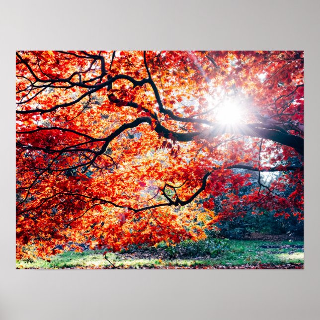 I DET MAGISKA FÄRGEN PÅ ÖSTERN POSTER (Framsidan)