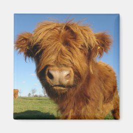 I ditt Ansikte Cow Magnet