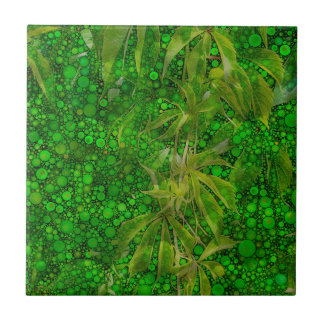 I djungeln kakelplatta