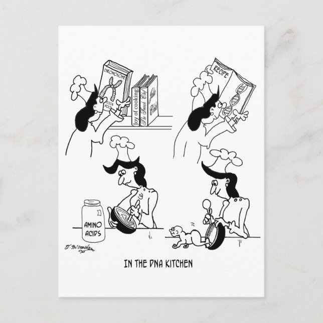 I DNA-köket Vykort (Framsida)