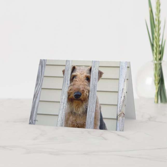 "I Doghouse" Kort (Framsida)