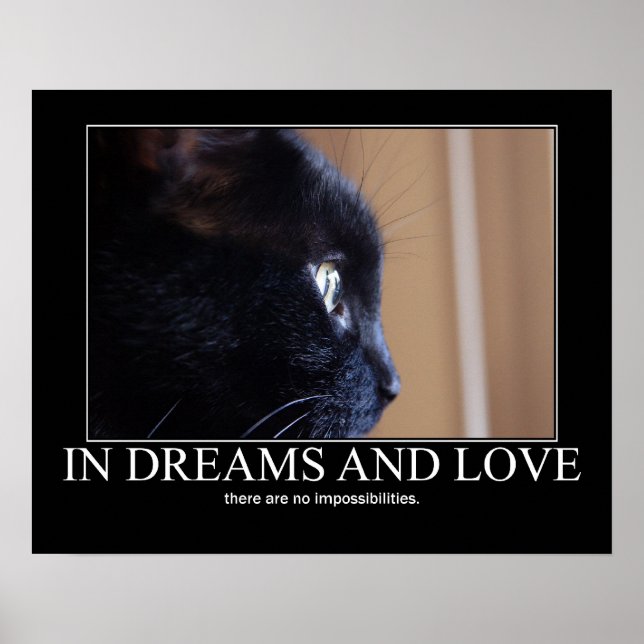 I Dreams and Kärlek Cat inspiration Artwork Poster (Framsidan)