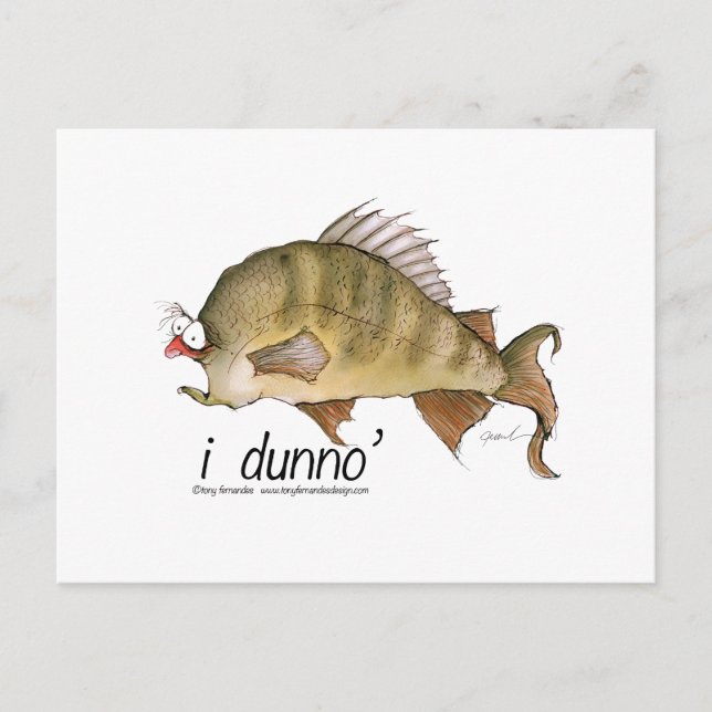 i dunno, tony fernandes vykort (Framsida)