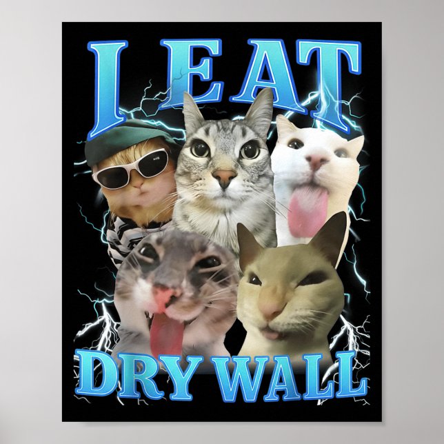 I Eat Dry Wall Funny Cat Meme  Poster (Framsidan)