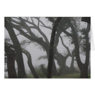 I en fog hälsningskort