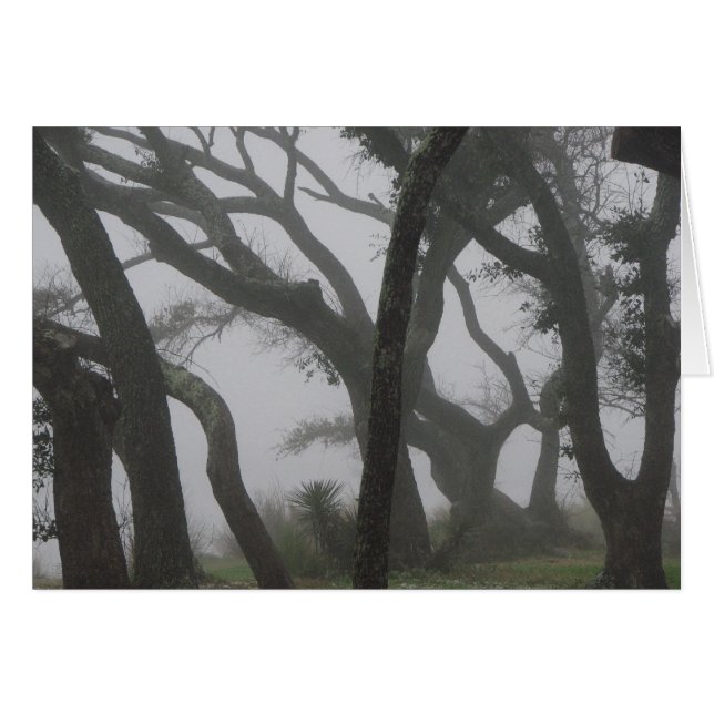 I en fog hälsningskort (Framsidan Horizontal)