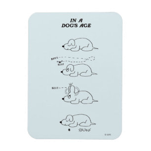 I en hund ålder magnet