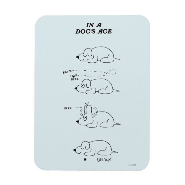 I en Hund ålder Magnet (Vertikal)