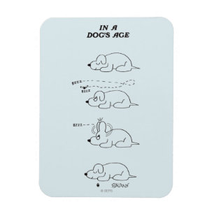 I en hund ålder magnet