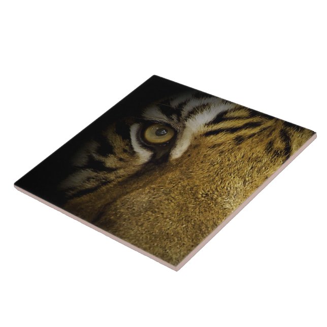 I en tigers öga kakelplatta (Sidan)