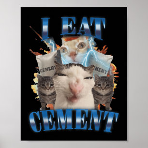 I ETT Cement Curted Cat Funny Odely Specific Dank Poster