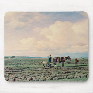 I fält 1872 musmatta