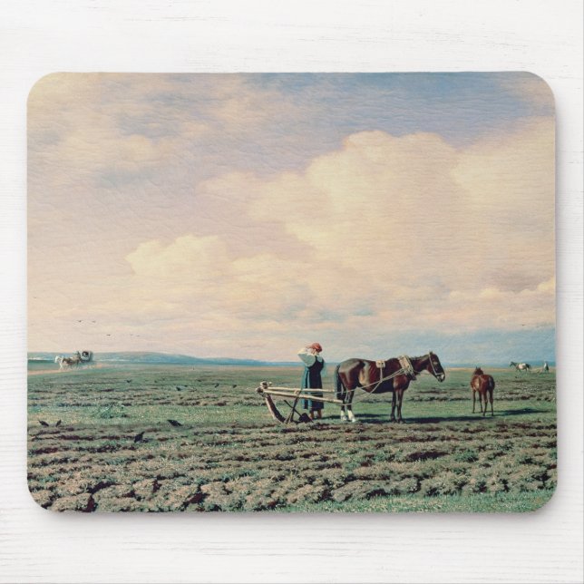 I fält 1872 musmatta (Framsidan)
