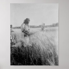 I fält i Boaz i Betlehem Poster