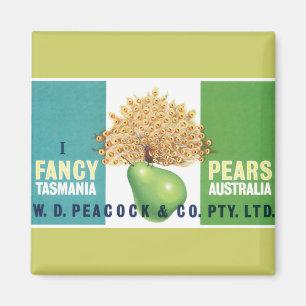 I Finare Pears Magnet