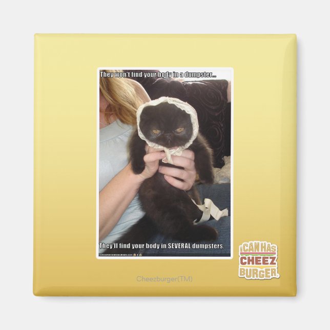 I flera dumpningsfält magnet (Framsidan)