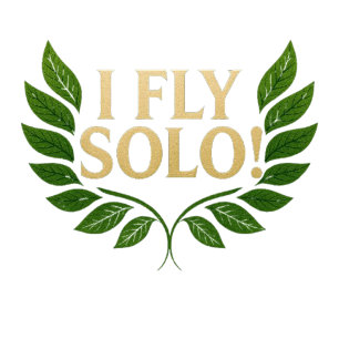 I_FLY_SOLO_Solo_Success_Krona_Your_Journey! T Shirt