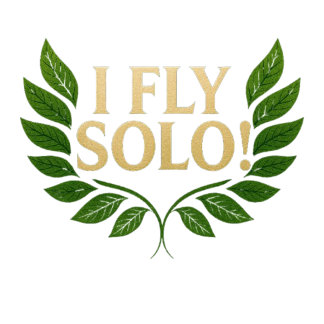 I_FLY_SOLO_Solo_Success_Krona_Your_Journey! T Shirt