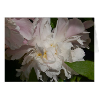 I flyg hälsningskort