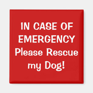 I FODRAL i AKUTET Magnet